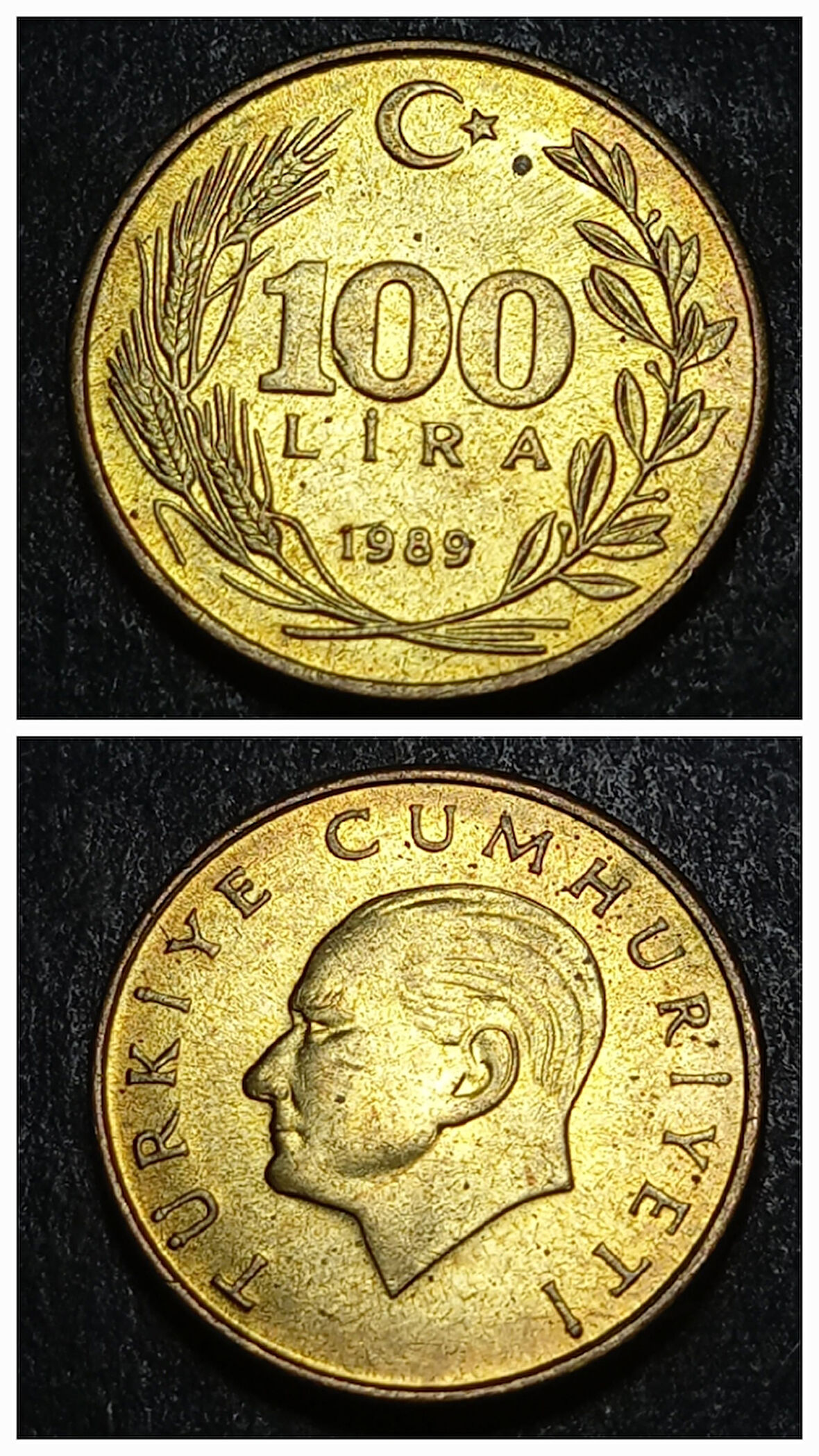 Escoines 3996368991b87f0852 1989 100 lira ççt+ %70 Bakır para