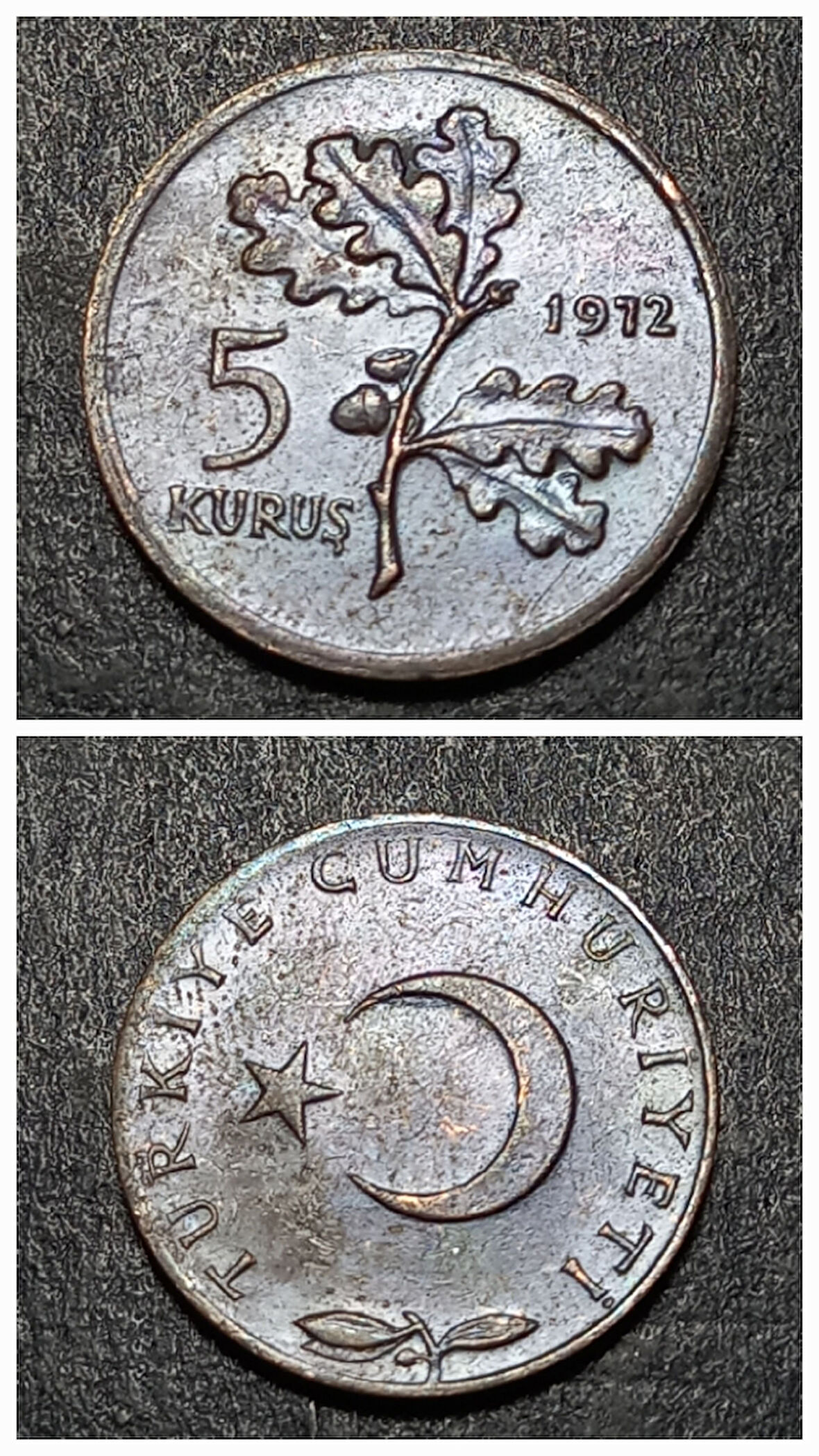 Escoines 39963689926476d0b5 1972 çt 5Kuruş %97 Bakır para