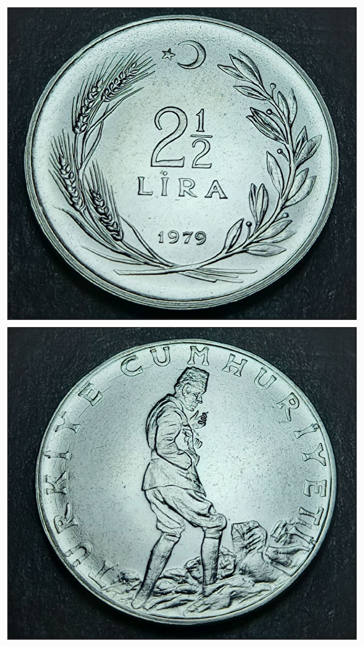 Escoines 3996368a8fd7ae5dc9 1979 prof 2 bucuk lira çil para