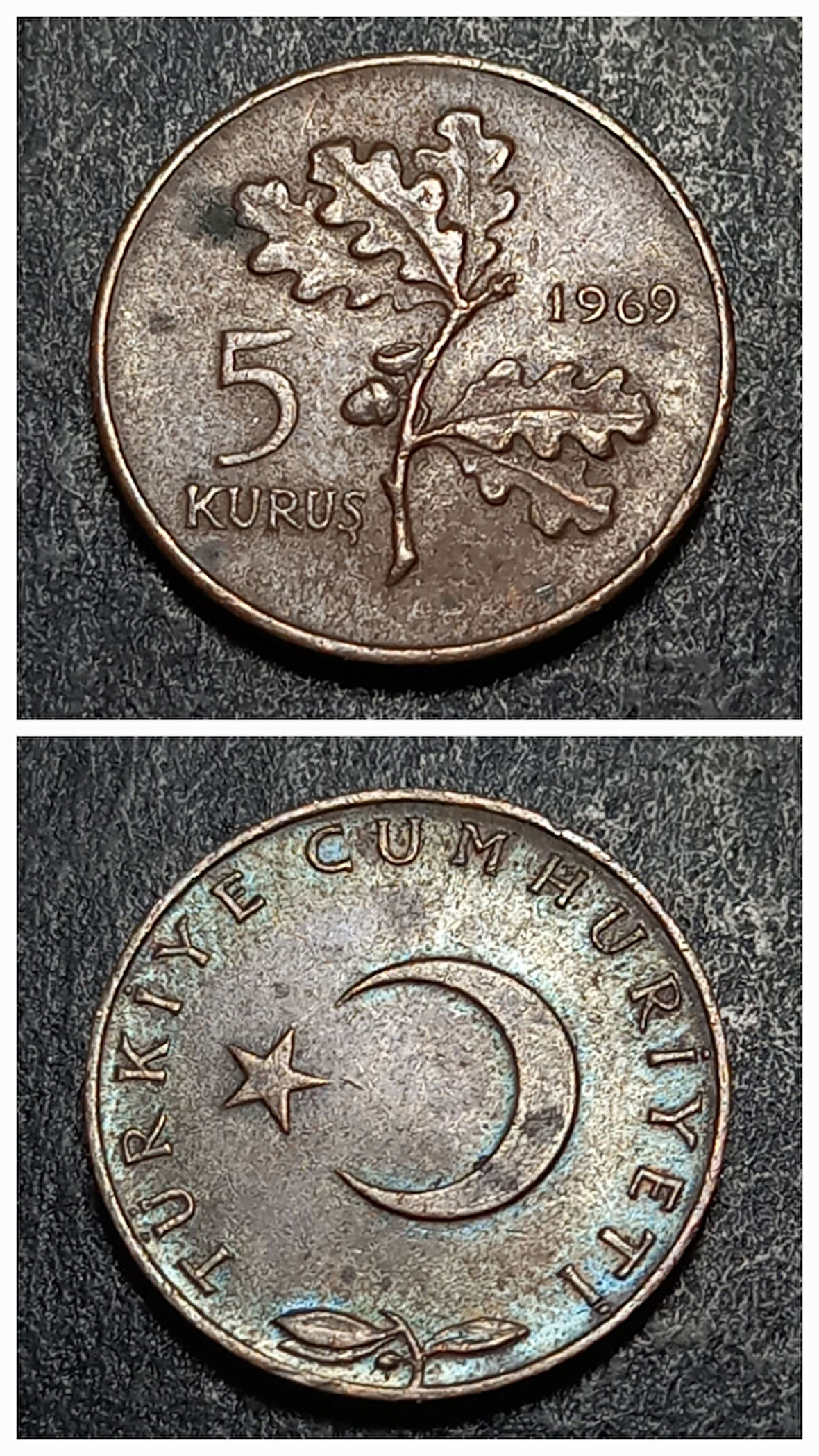 Escoines 3996368ab82394006a 1969 Bronz 5kuruş çt+ para