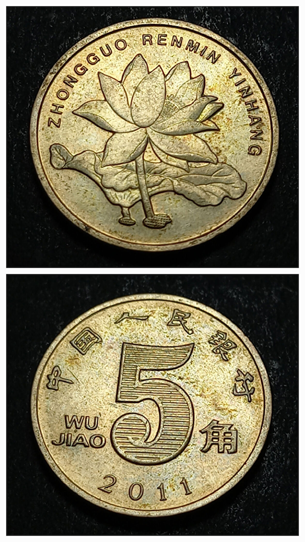 Escoines Koleksiyon 3996368dda5a21a44a 2011 Çin 5 Jiao ÇA/ÇİL Madeni Para