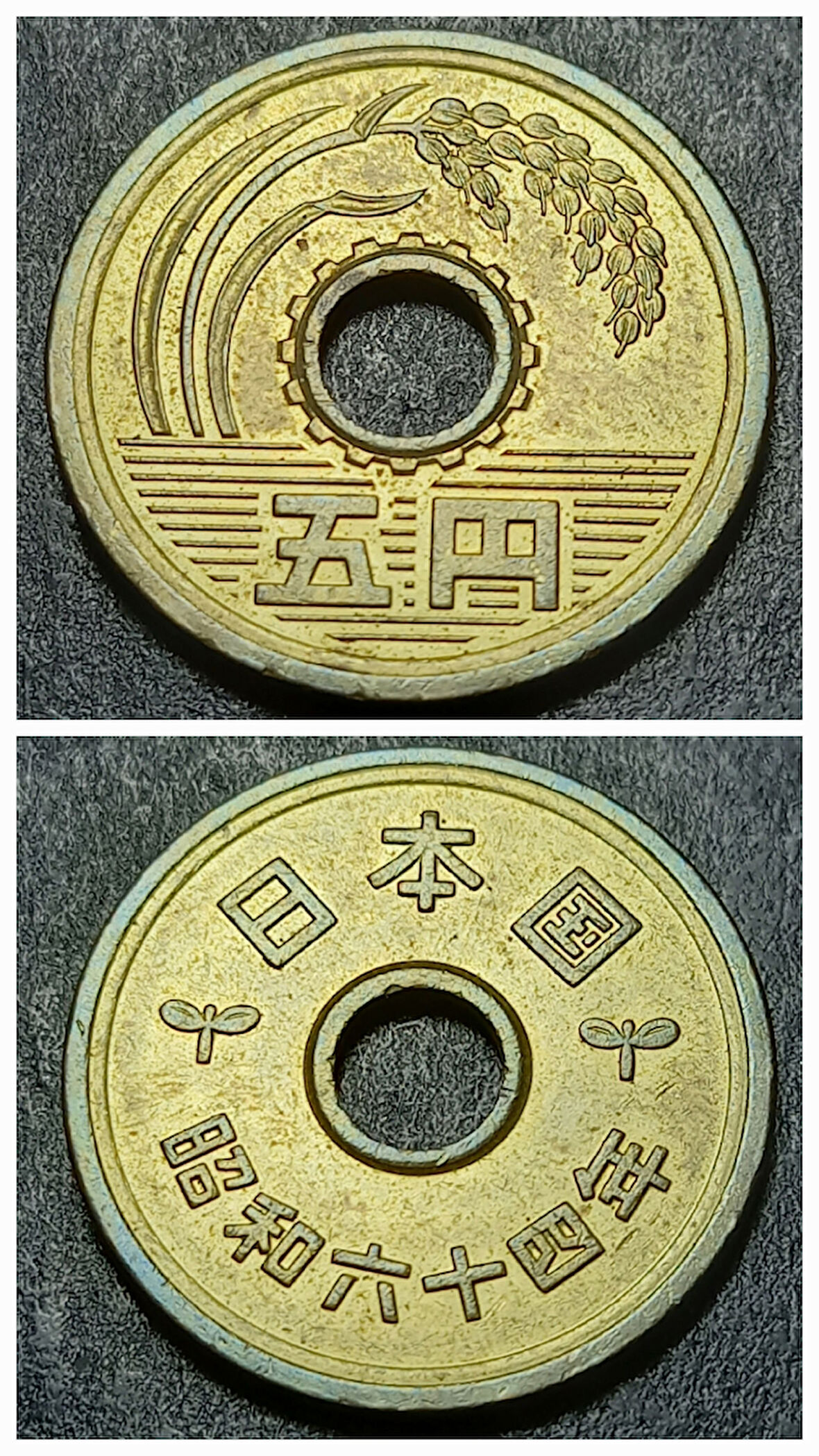 Escoines Koleksiyon 3996368f3f10aa7b1b 1989 Japonya 5Yen Çil eski yabancı madeni para