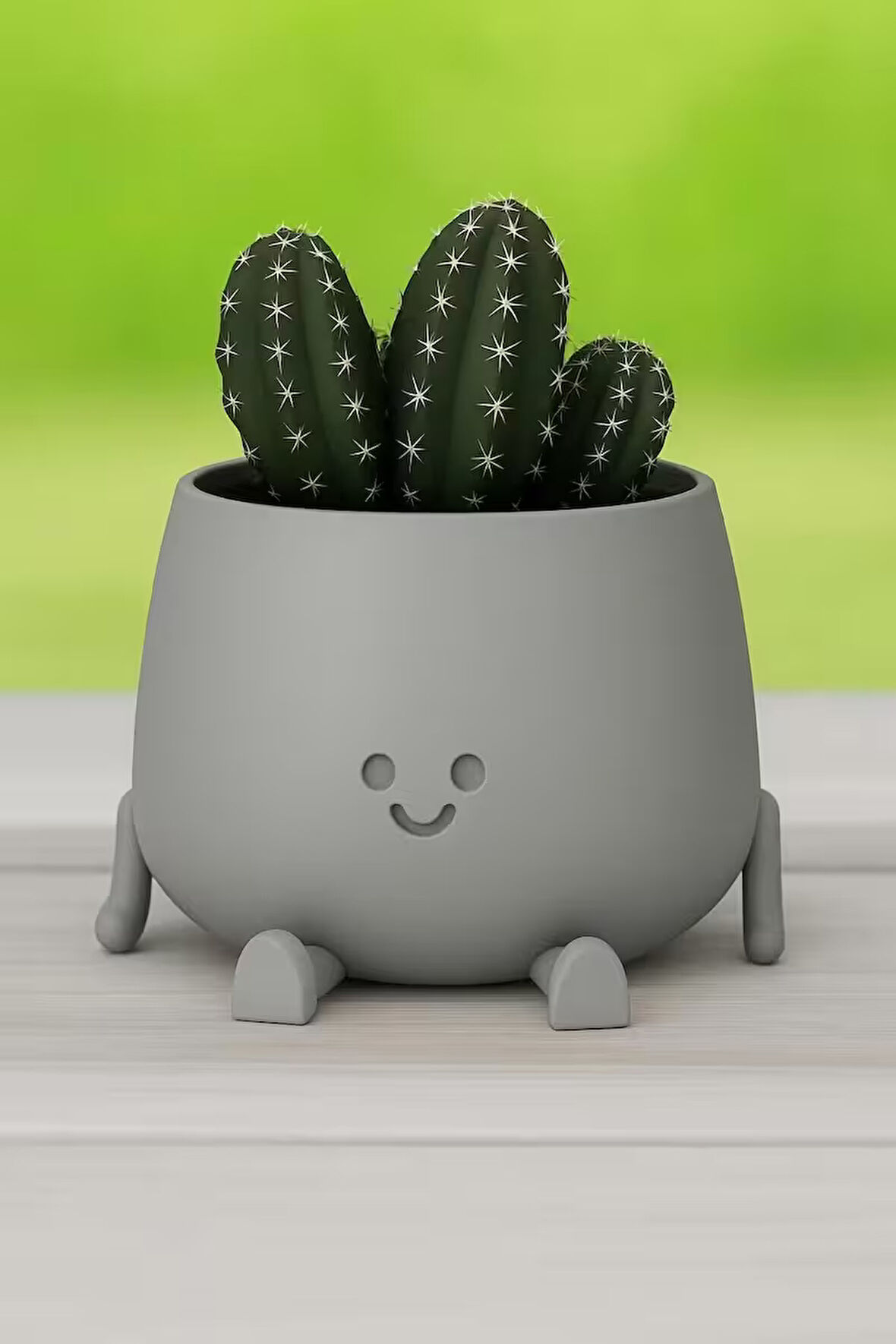 Dekoratif Sevimli Figürlü Saksı | Oturan Saksı | Kaktüs & Sukulent Mini Saksı – 3D Baskı