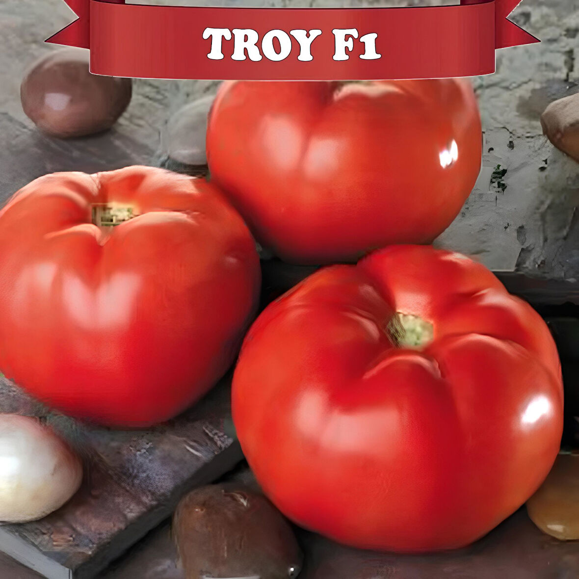 Troy Verimli Etli Oturak Domatesi Fidesi (5 adet)
