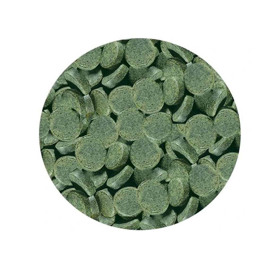 Sera Spirulina Nature Tabs Kovadan Bölme 50 Adet