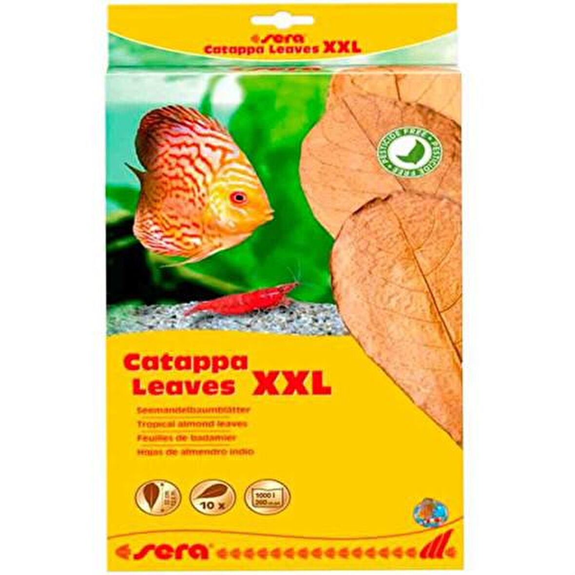 Sera Catappa Yaprağı XXL 32 Cm