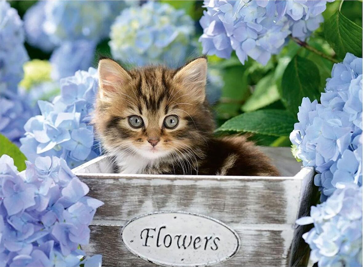 Ravensburger Hayvanlar 300 Parça Çocuk Puzzle