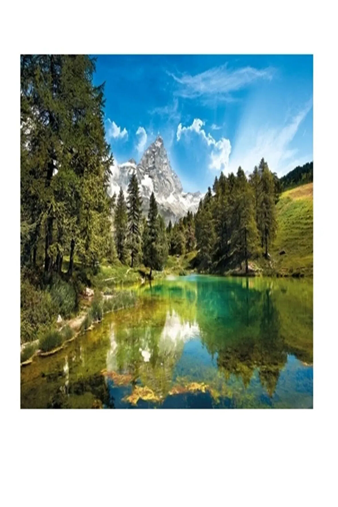 Toys 80413 1000 Parça Yetişkin Puzzle