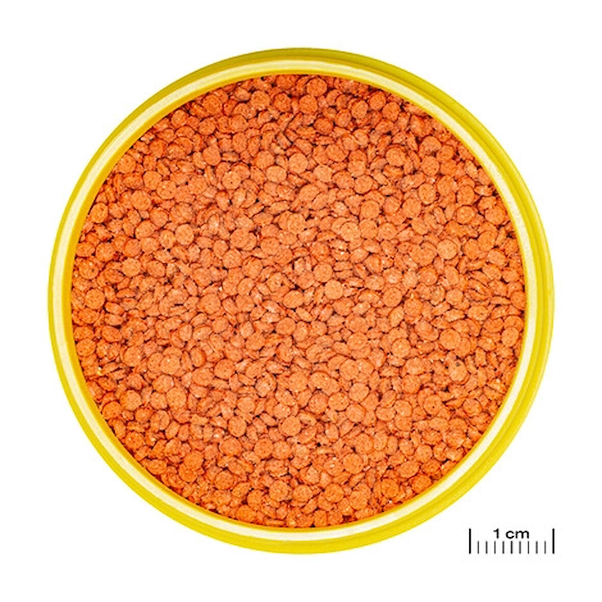 Jbl Pro Novo Bits Grano Medium 250 Gr Balık Yemi