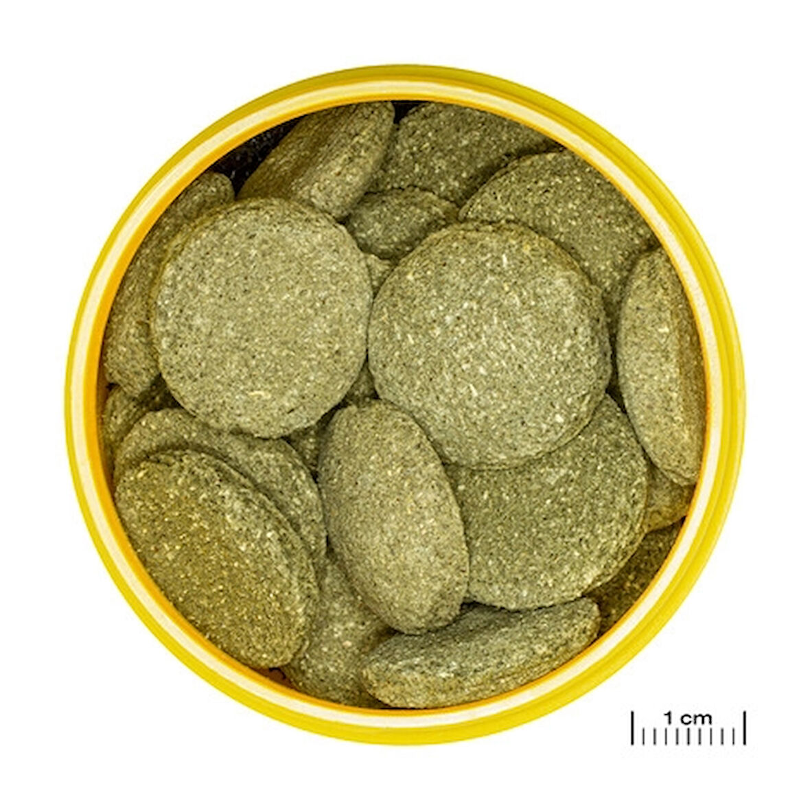 Jbl Pro Novo Pleco Wafer XL 1000 Gram Açık