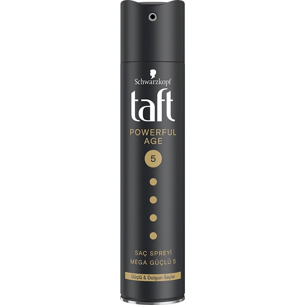 Taft Saç Sprey Powerful Age Mega Güçlü 5 250 Ml