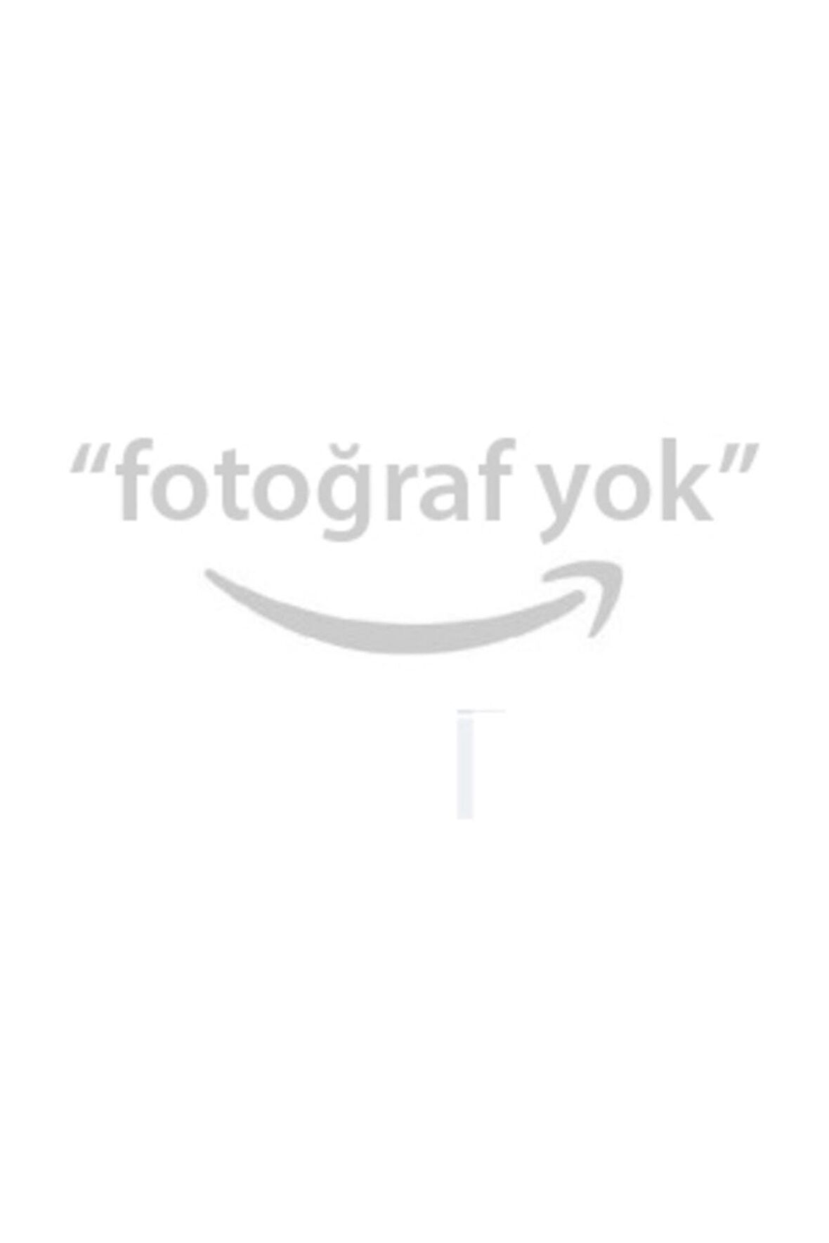 Silecek Tek Aerotwin Plus 425 Mm Aparatli 4 Adaptor Ile 10 Kola Uyumlu