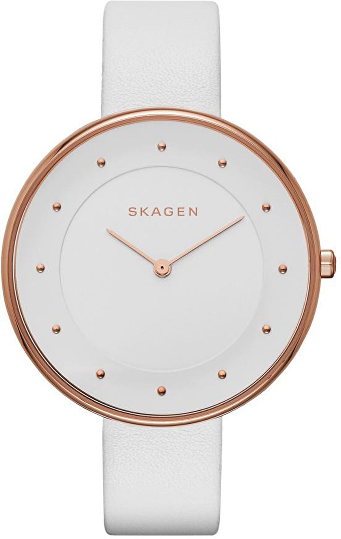 Skagen SKW2291