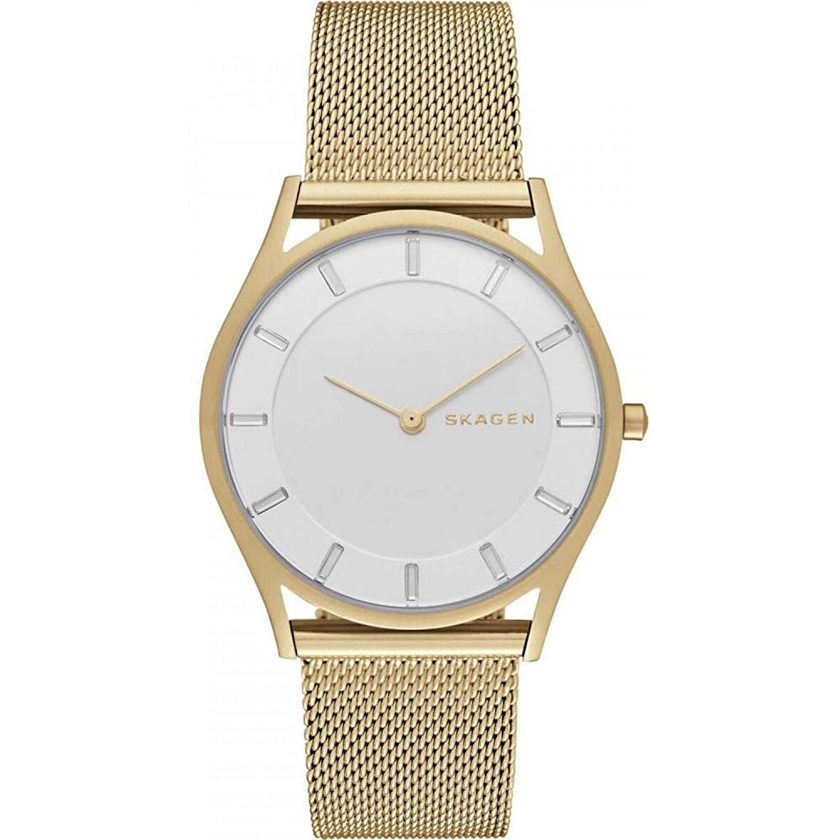 SKAGEN SKW2377 