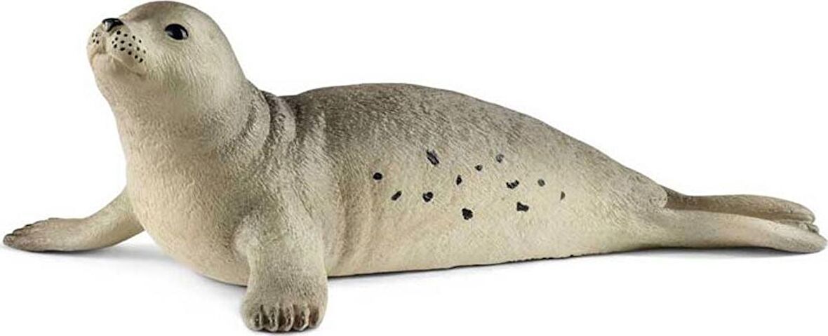 Schleich Wild Life Figür Fok CWL14801
