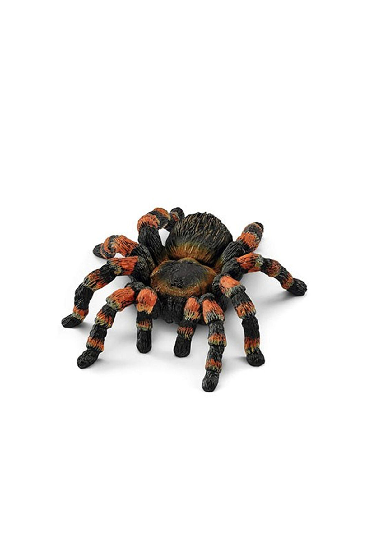 Tarantula