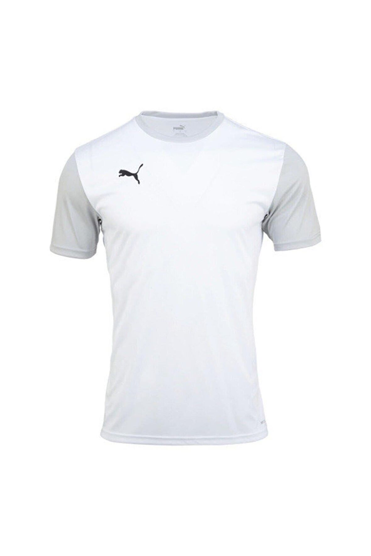 Puma 65648404 Teamgoal 23 Sideline Tee Erkek T-Shirt