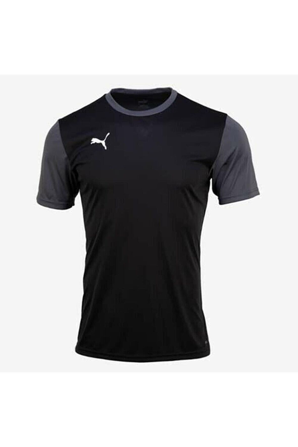 Puma 65648403 Teamgoal 23 Sideline Tee Erkek T-Shirt