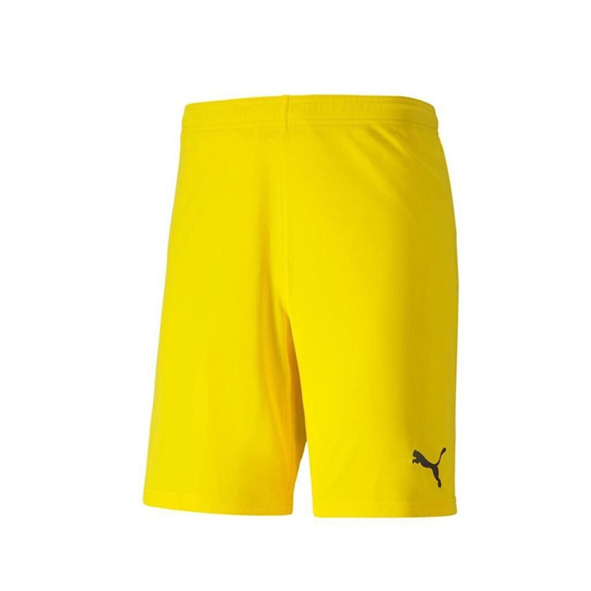 Puma 704262 Teamgoal 23 Knıt Shorts