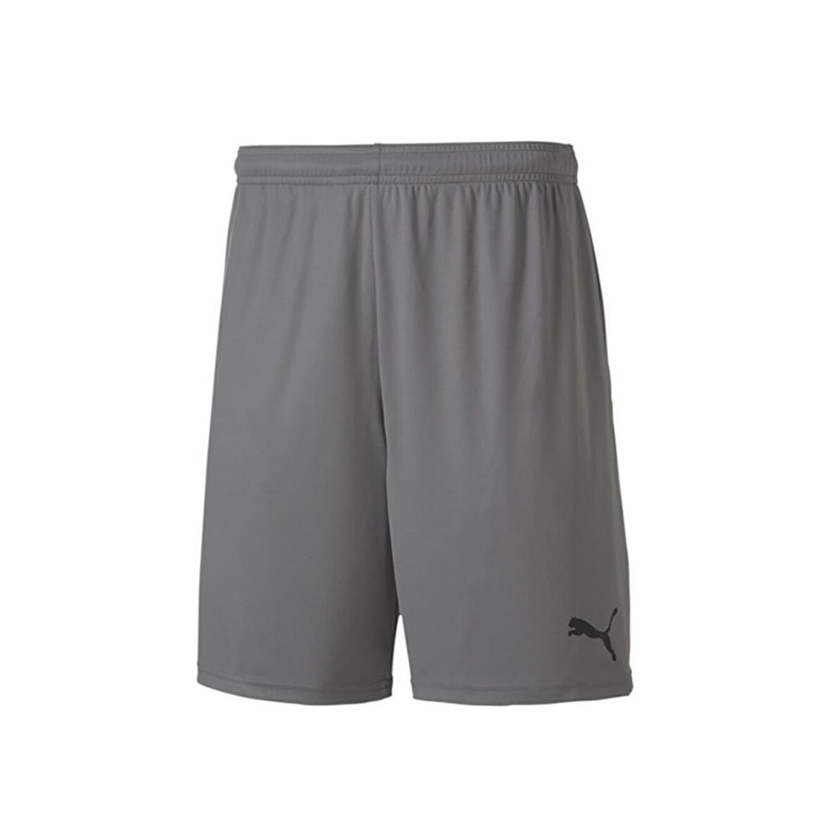 Puma 704262 Teamgoal 23 Knıt Shorts