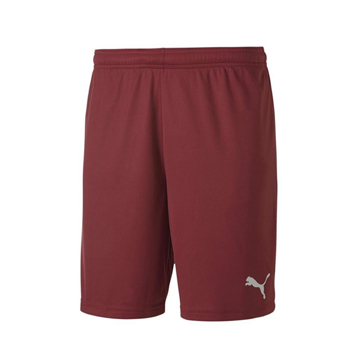 Puma 704262 Teamgoal 23 Knıt Shorts