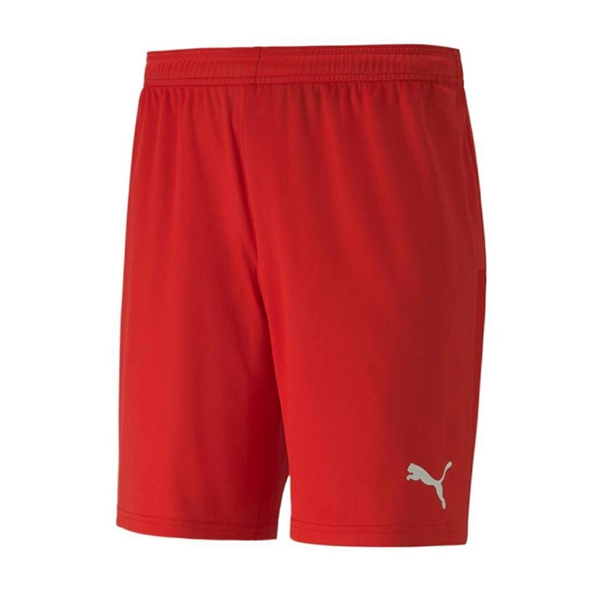 Puma 704262 Teamgoal 23 Knıt Shorts