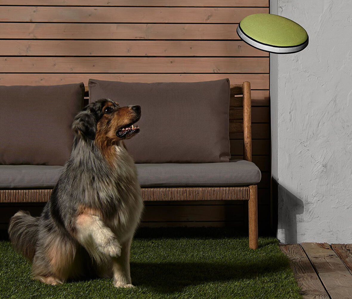 Köpekler İçin Frizbi