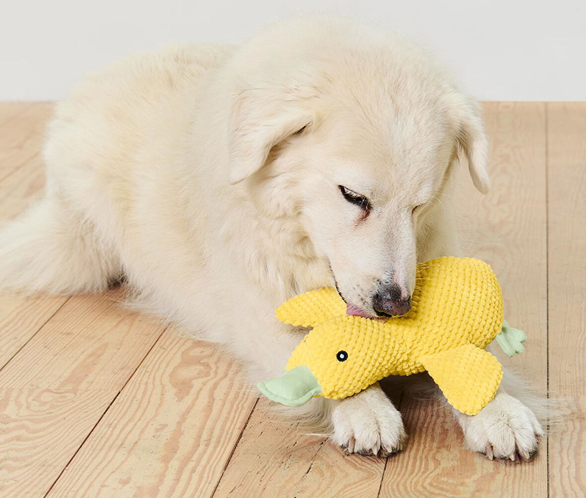 Pelüş Köpek Oyuncağı, Ördek, Geri Dön. PES, Büyük