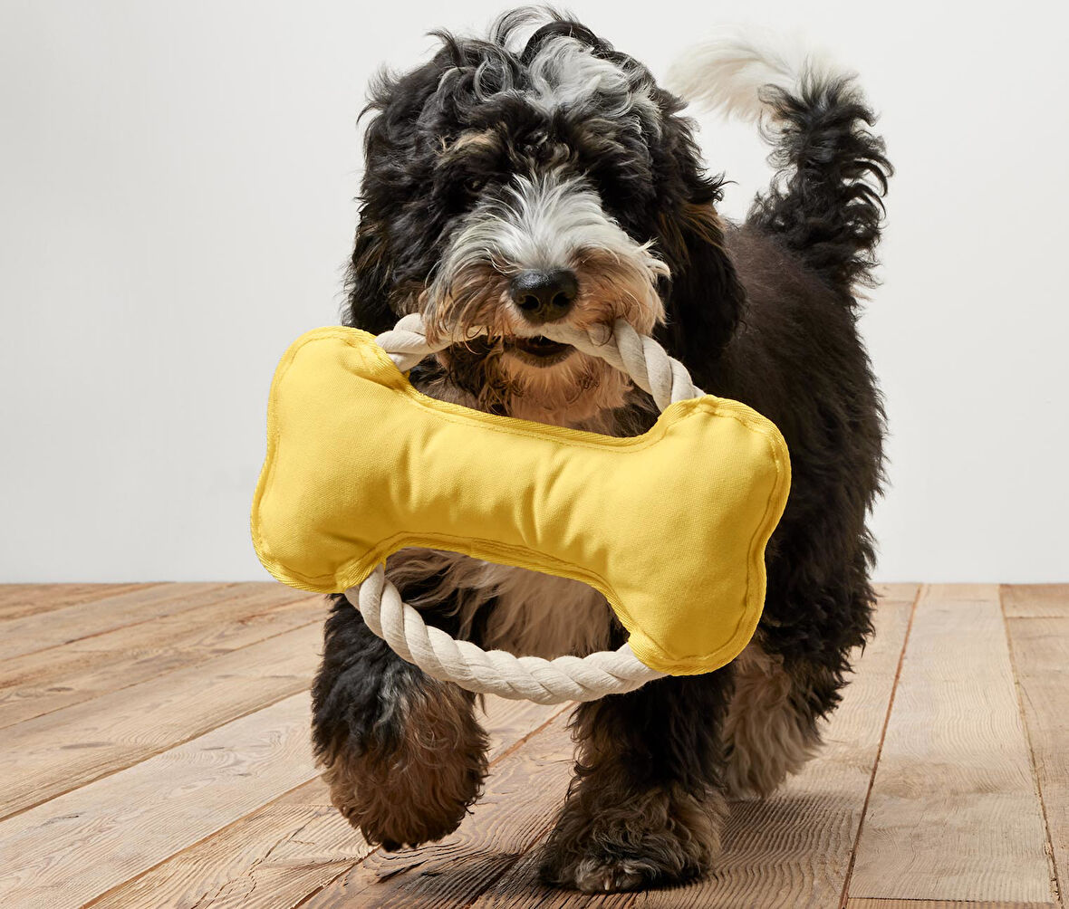 Köpek Oyuncağı, Halat