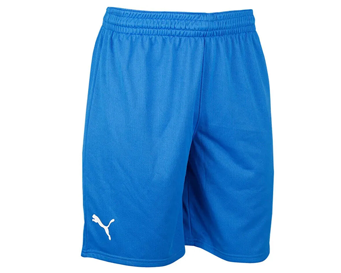 Puma Turkey Practice Short Erkek Türkiye Basketbol Şortu 60547201 Mavi