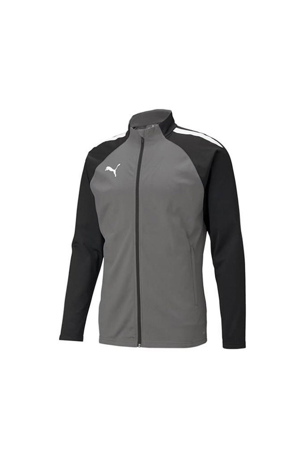 Puma Teamliga Training Jacket Erkek Futbol Antrenman Ceketi 65723413 Gri