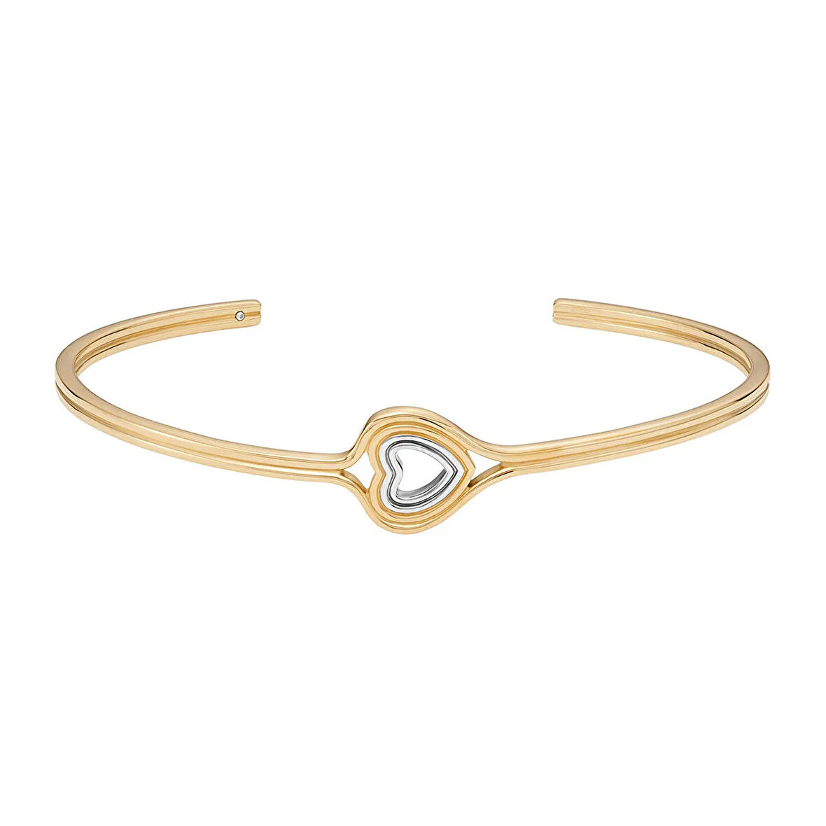 Skagen SKJ1678-998 Kadın Bileklik