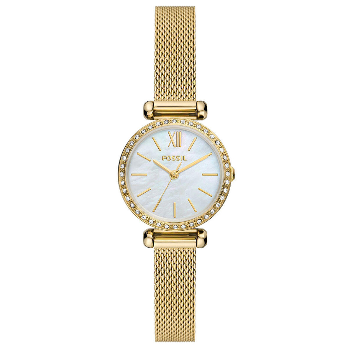 FBQ3898 Fossil Kadın Kol Saati