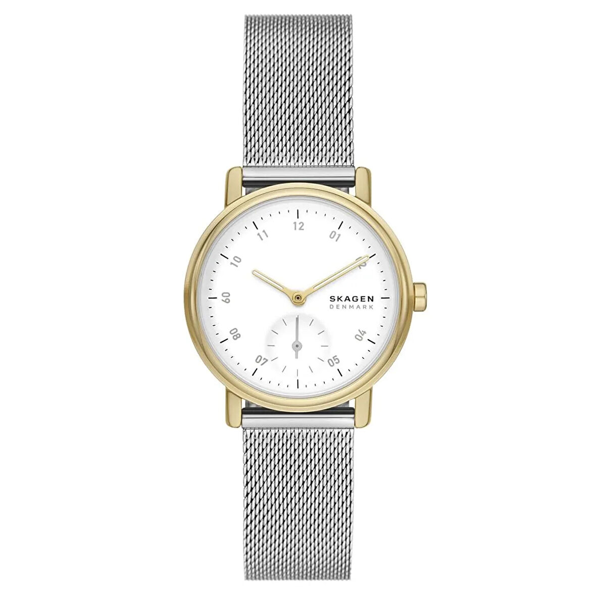 Skagen SKW3101 Kadın Kol Saati