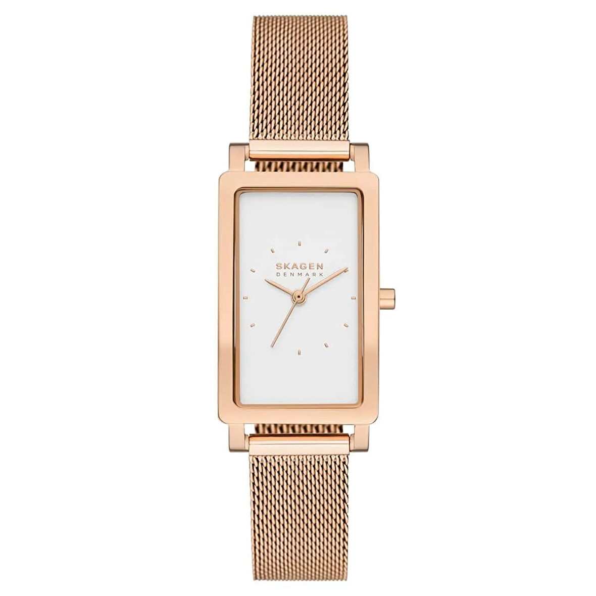 Skagen SKW3095 Kadın Kol Saati