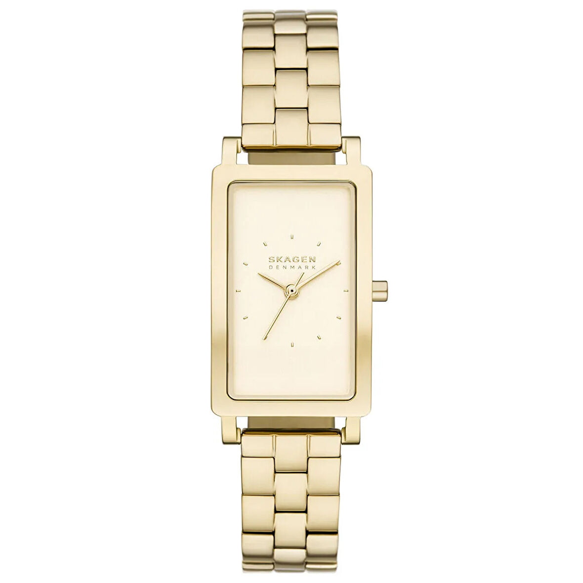 Skagen SKW3098 Kadın Kol Saati