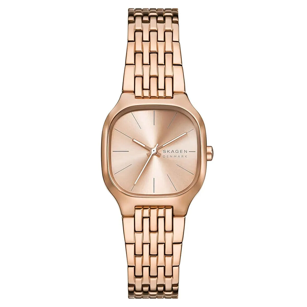 Skagen Watches SKW3166 Kadın Kol Saati