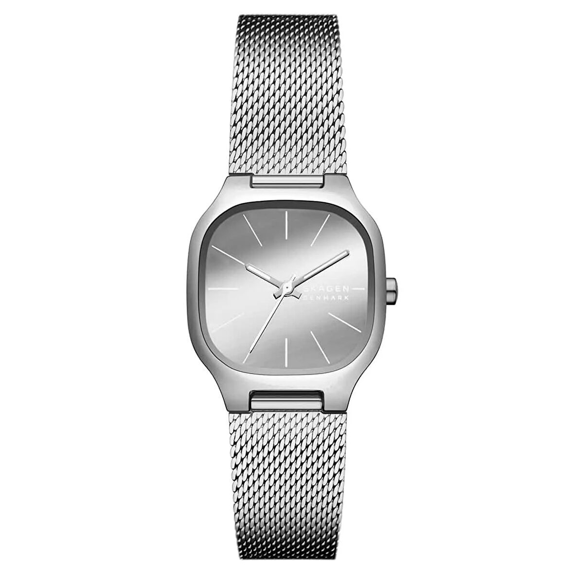 Skagen SKW3163 Kadın Kol Saati