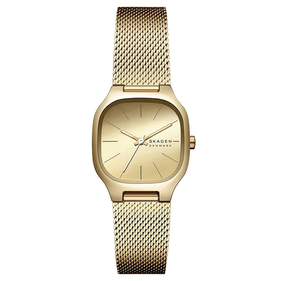 Skagen SKW3164 Kadın Kol Saati