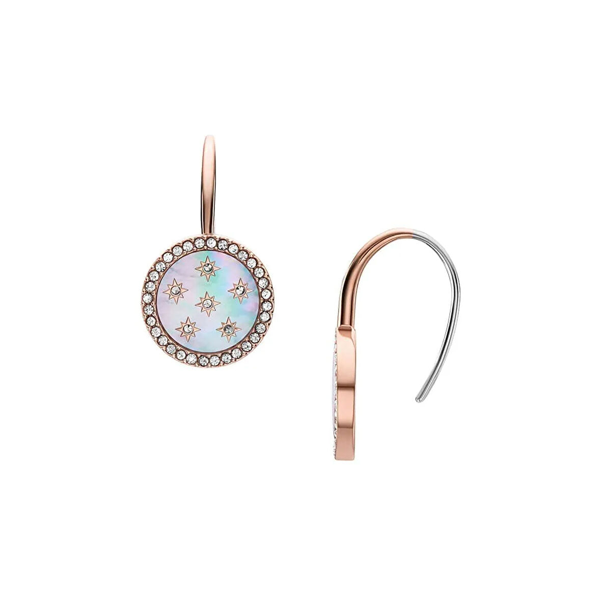 Fossil JF04938-791 Kadın Küpe