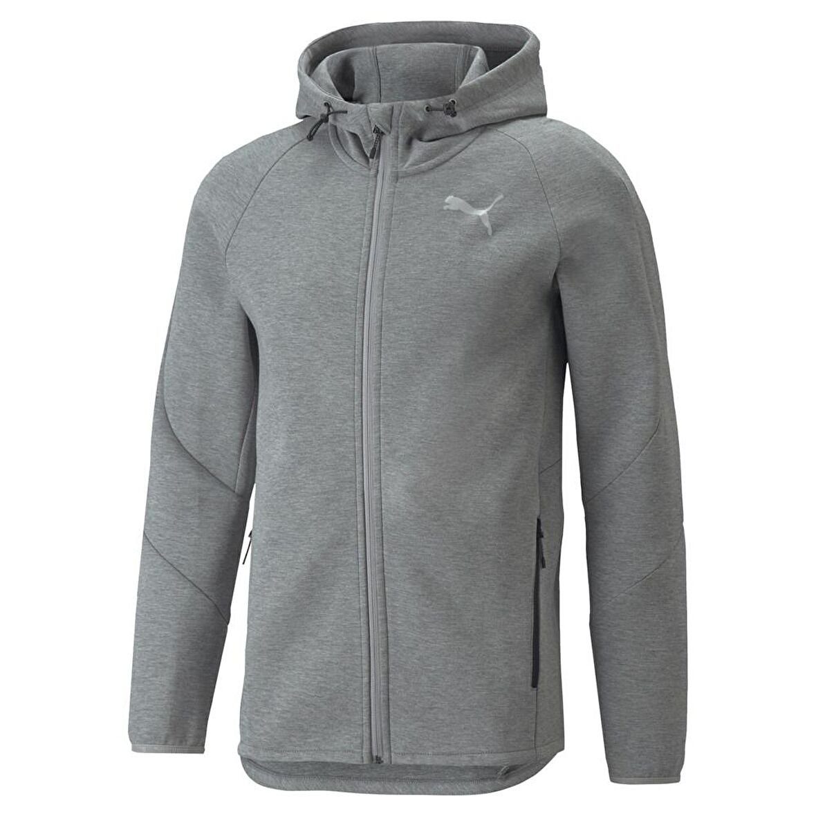 Puma Evostripe Full-Zip Hoodie Erkek Gri Günlük Ce