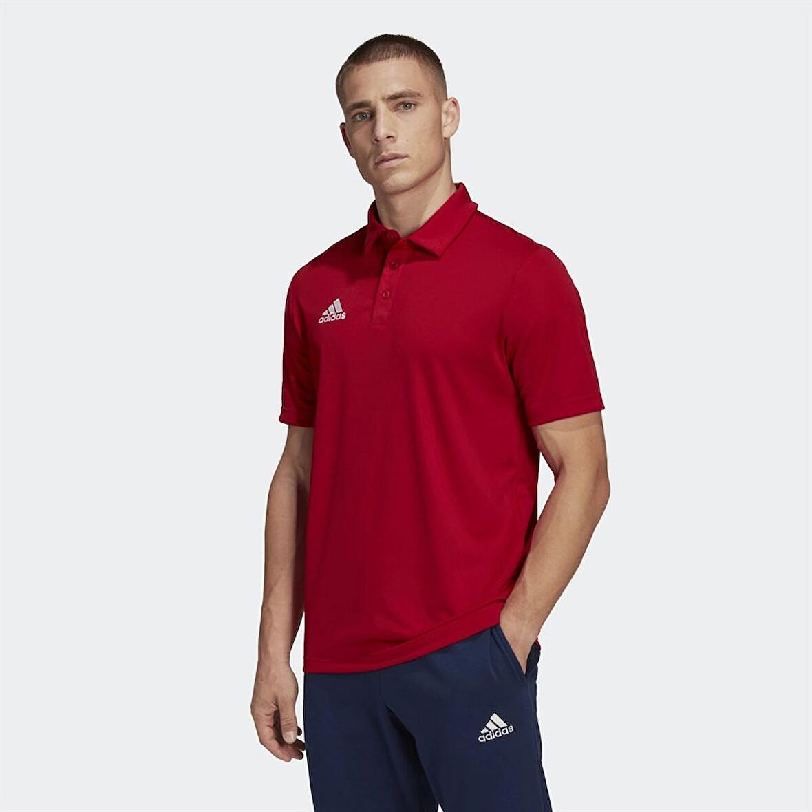 Adidas Ent22 Polo  Erkek Tişört