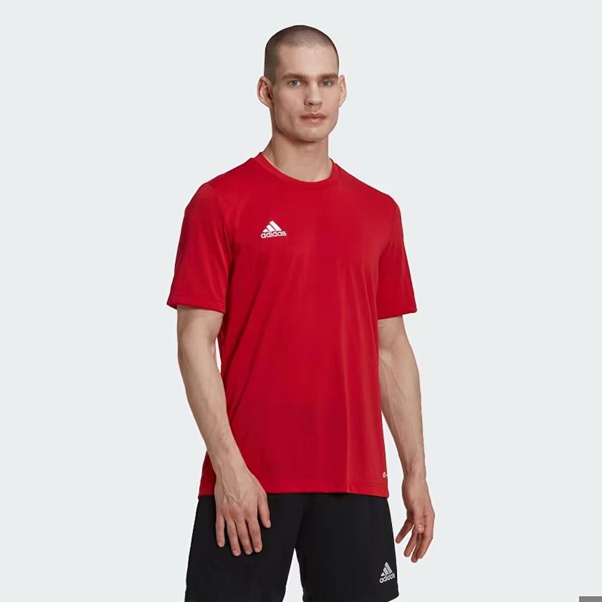 Adidas Ent22 Polytee Erkek T-shirt