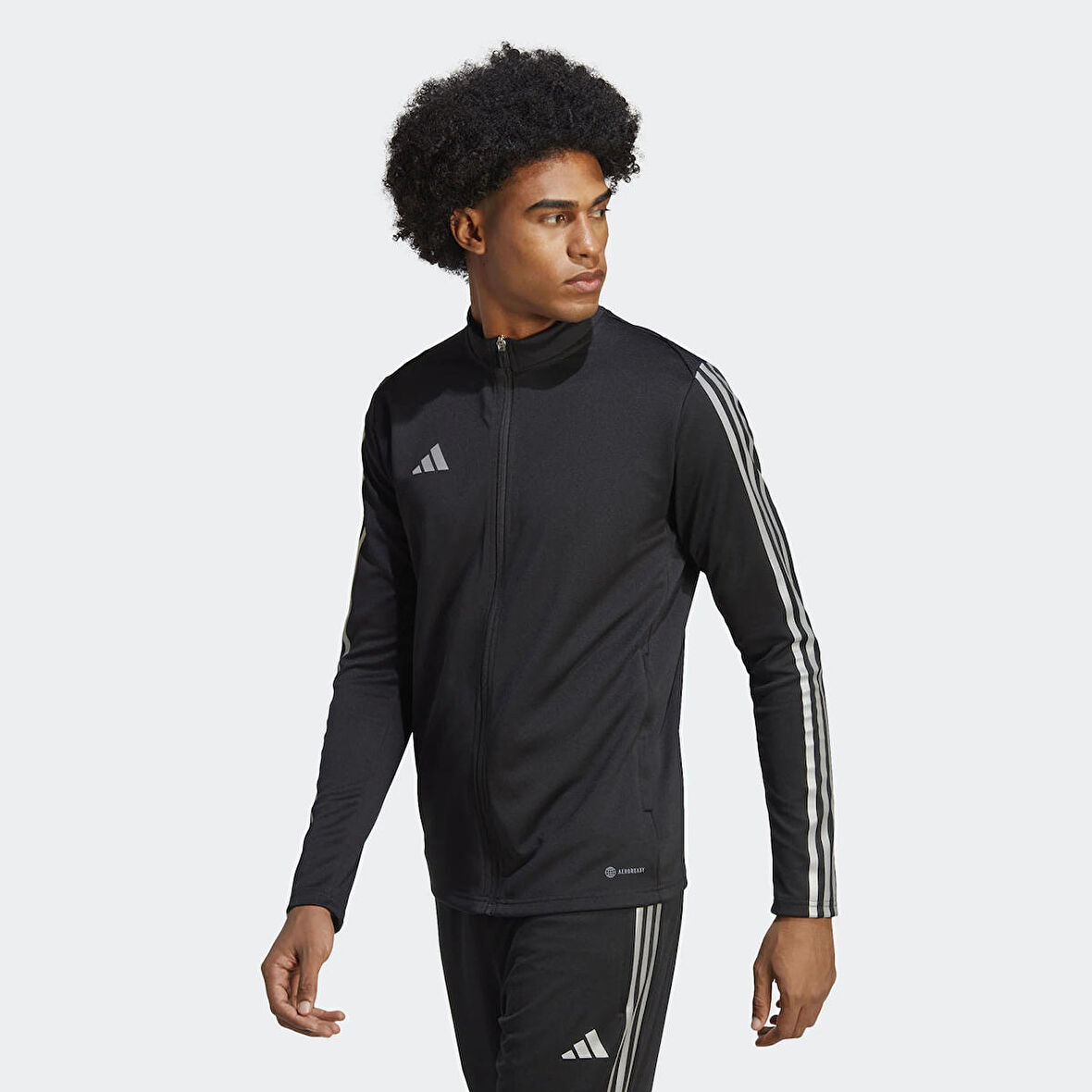 Adidas Erkek Futbol Mont Tiro Tr Jkt Ref Hs1032