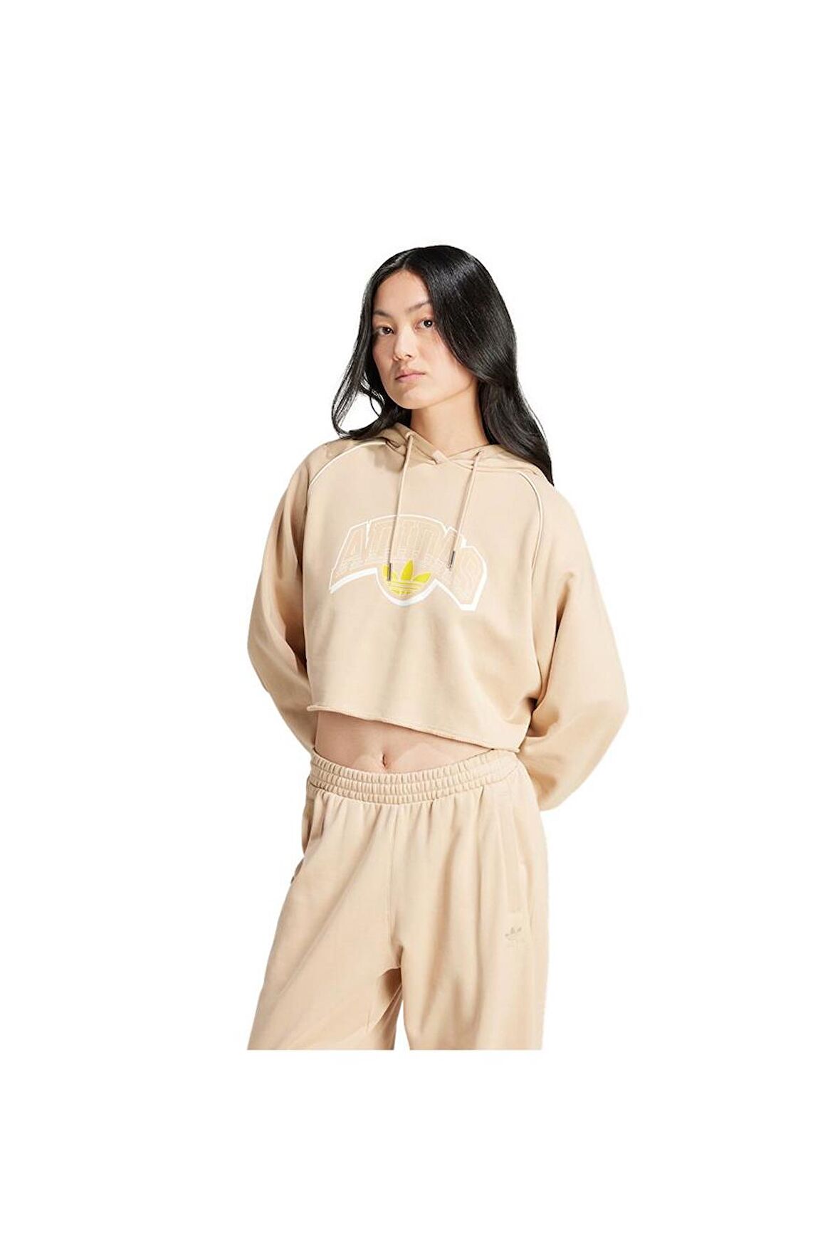 adidas Kadın  CS CROP HOODIE Sweatshirt IS1950