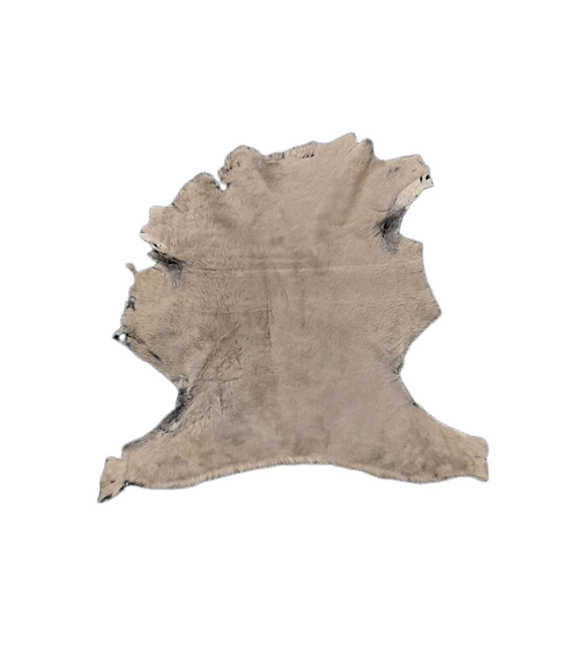 Gerçek Koyun Postu - Naturel - Kısa Tüylü - Doğal - 65x55 Cm - Gri - H7