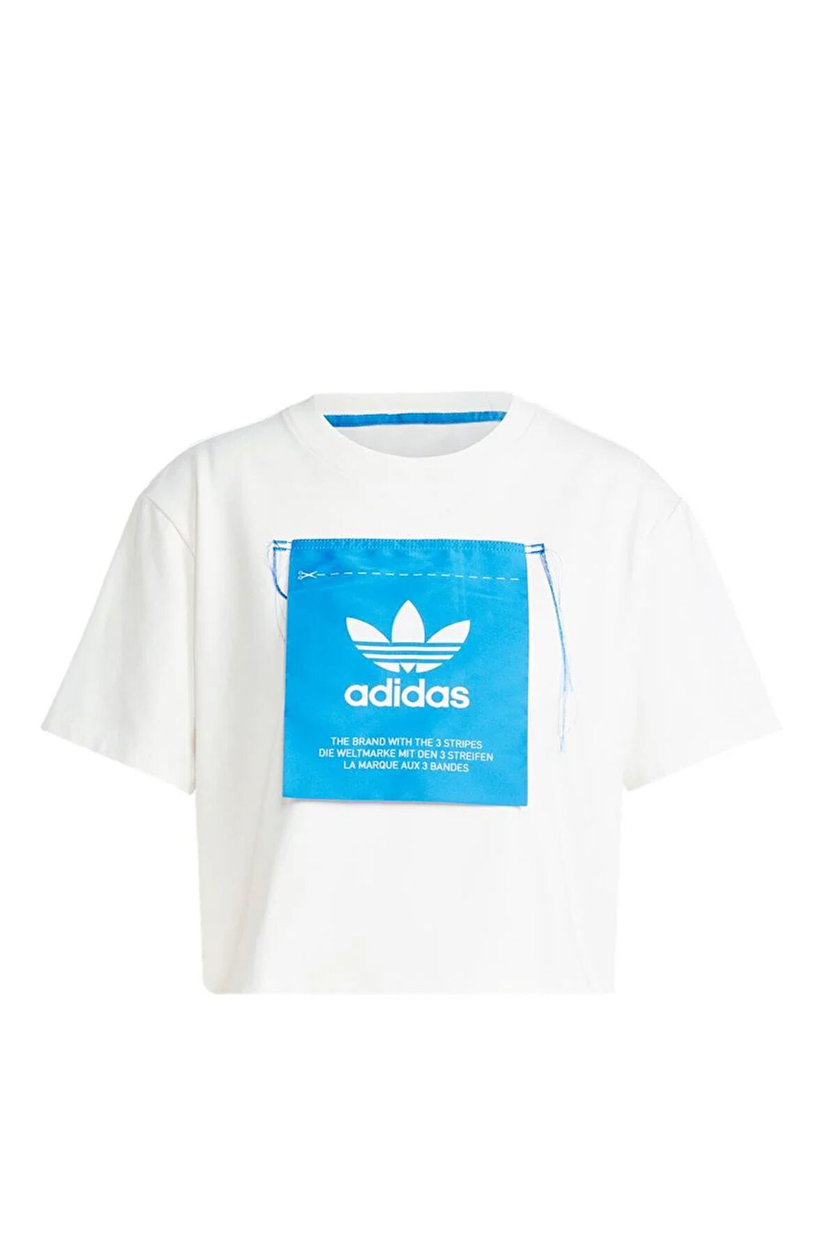 adidas KSENIA GFX TEE Kadın   T-Shirt IW5662
