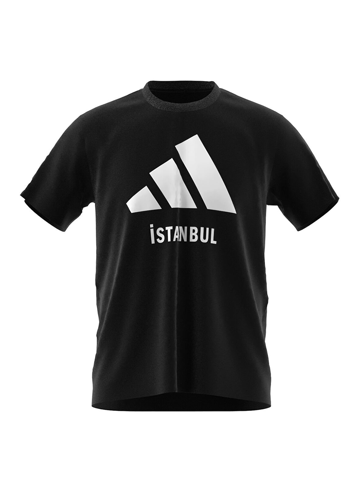 Siyah Erkek Yuvarlak Yaka Normal Kalıp T-Shirt JE2735 ISTANBUL TEE