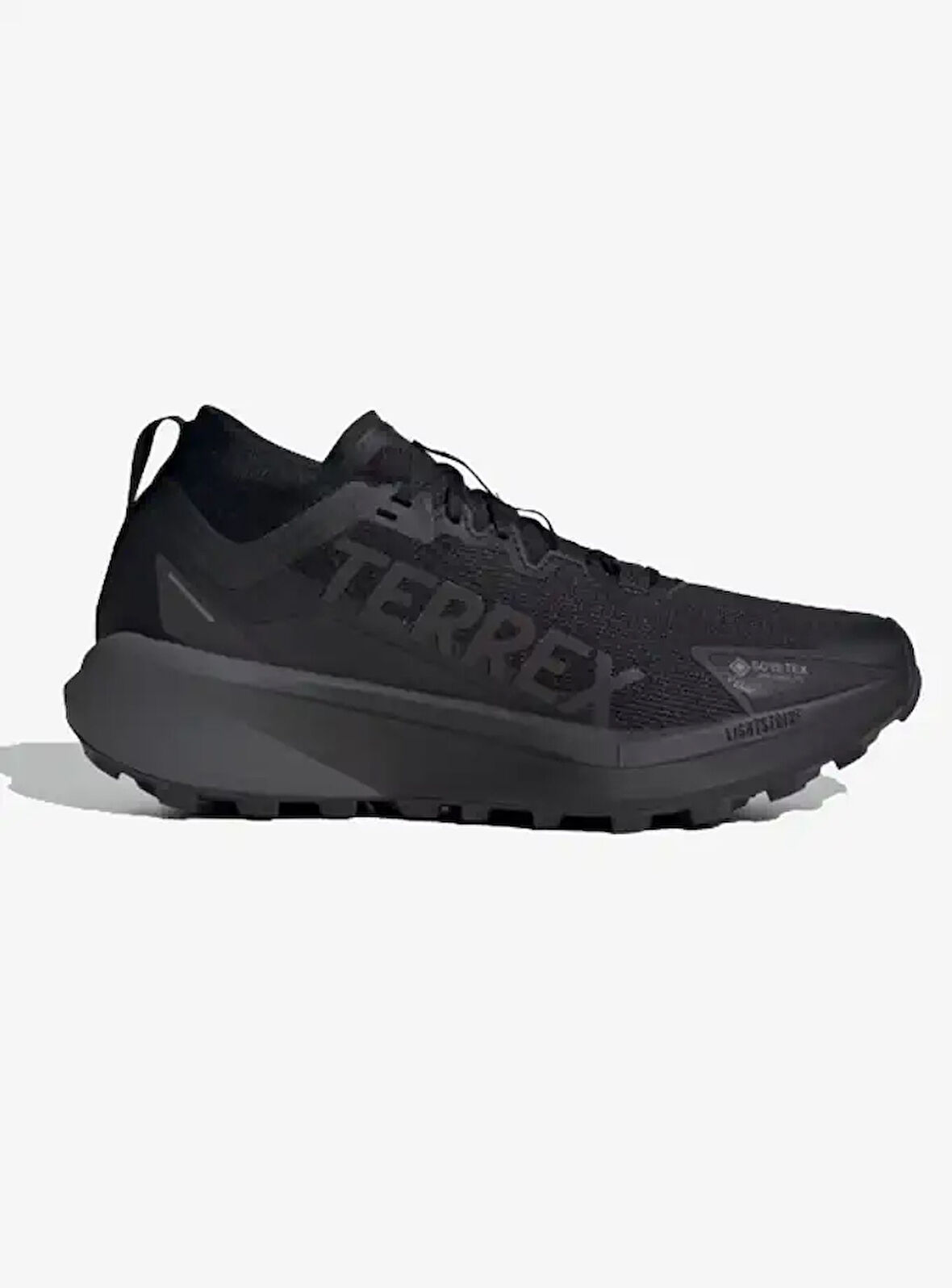 adidas Terrex Agravic GORE-TEX Erkek Outdoor Ayakkabısı