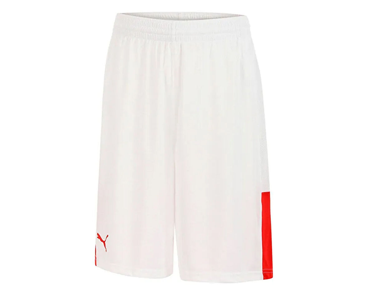 Puma Turkey Game Short Erkek Basketbol Şortu 60660501 Beyaz